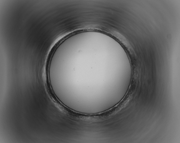 X0000087320936200705112134