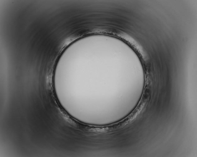 X0000087320937200705112134