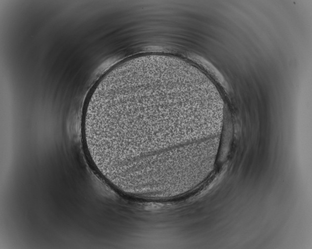 X0000087320938200705112134