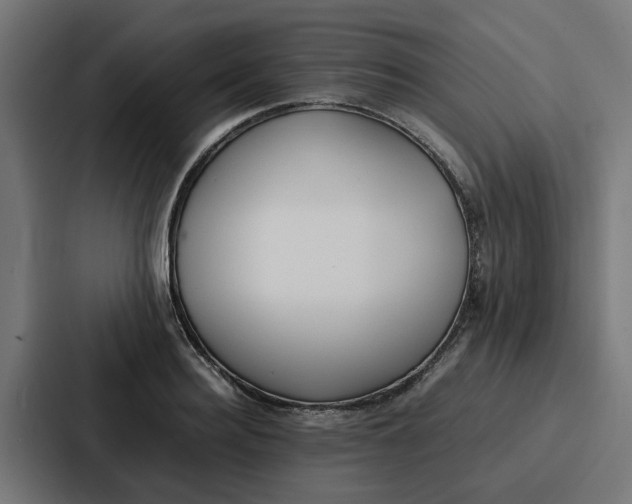 X0000087320940200705112134