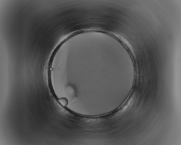 X0000087320941200705112134