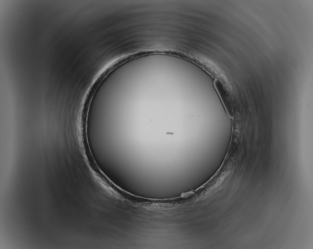 X0000087320942200705112134