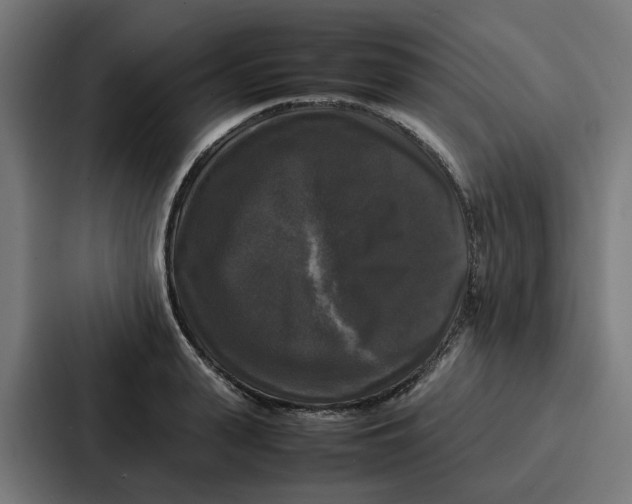 X0000087320943200705112134