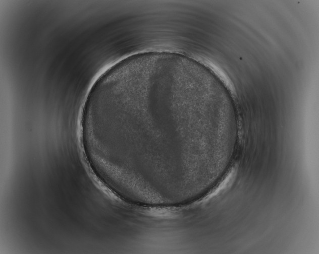 X0000087320944200705112134