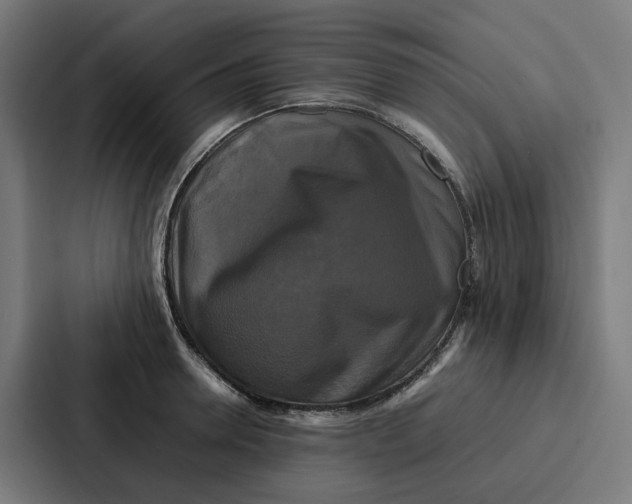 X0000087320946200705112134