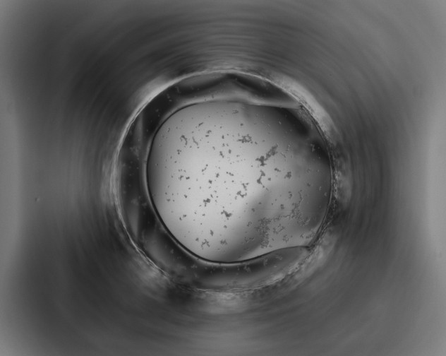 X0000087320948200705112134