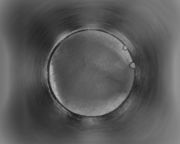 X0000087320950200705112134