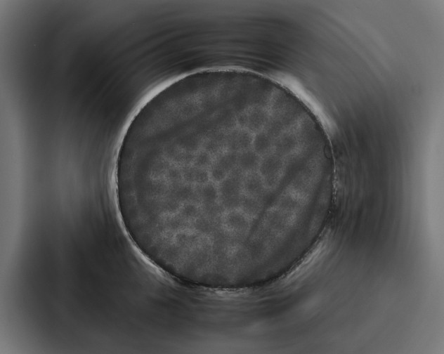 X0000087320951200705112134