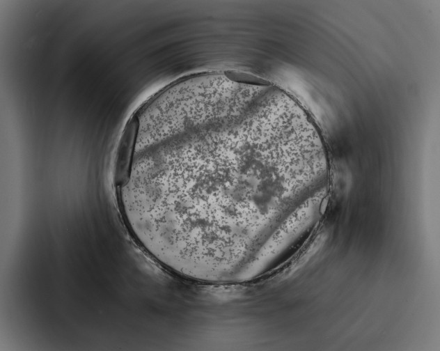 X0000087320952200705112134