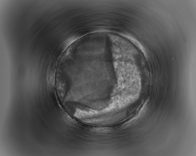 X0000087320953200705112134