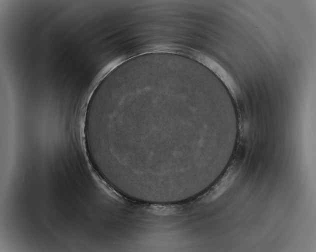 X0000087320954200705112134