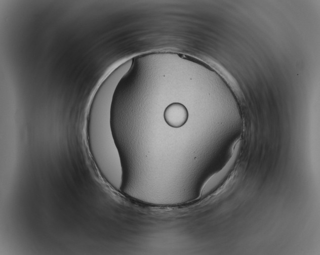 X0000087320956200705112134