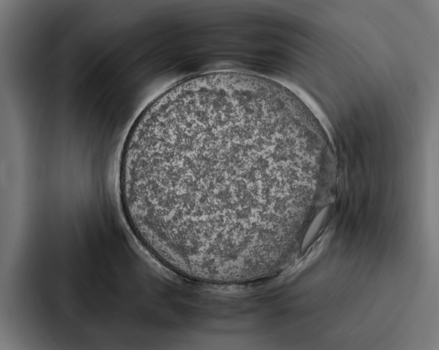 X0000087320957200705112134