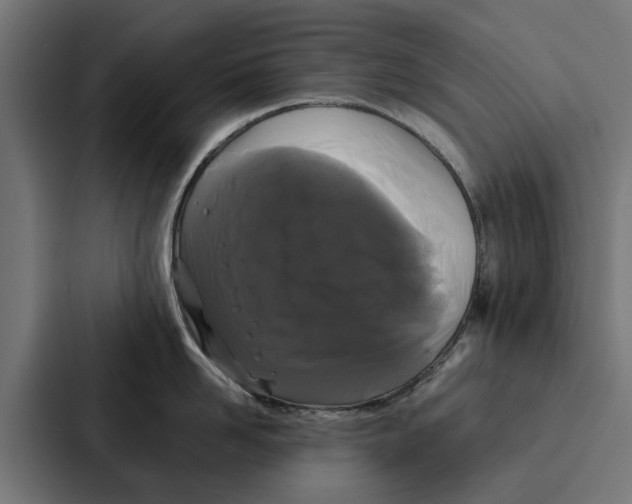 X0000087320958200705112134