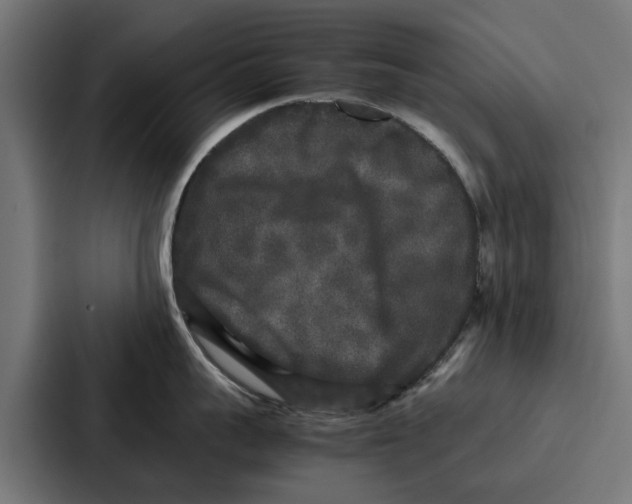 X0000087320959200705112134