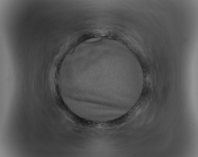 X0000087320961200705112134