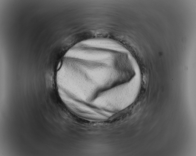 X0000087320963200705112134