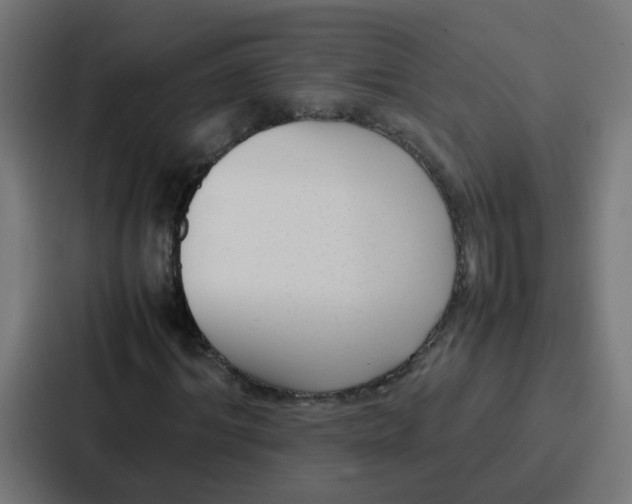 X0000087320964200705112134