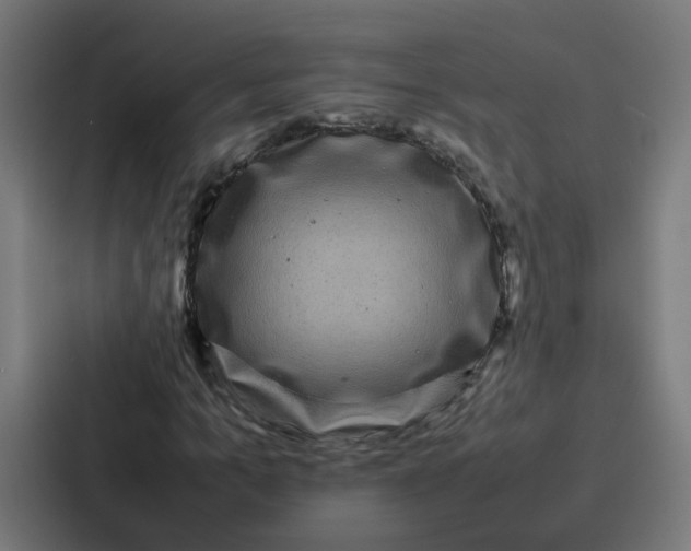 X0000087320965200705112134