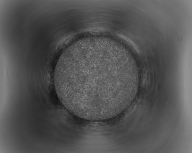 X0000087320966200705112134