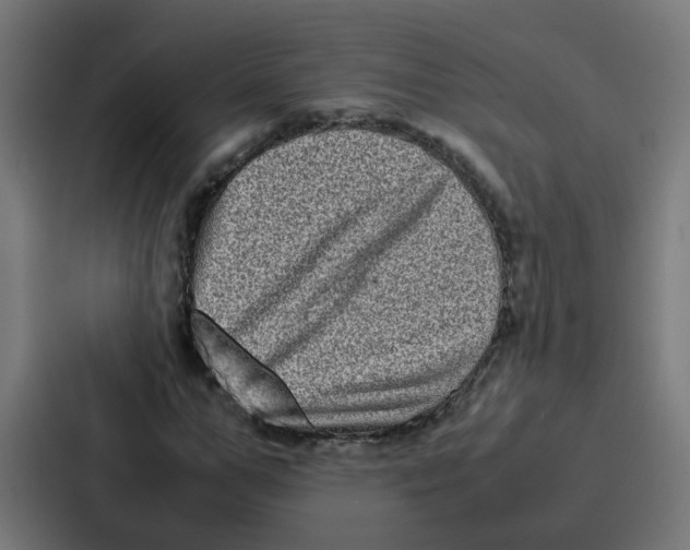 X0000087320967200705112134