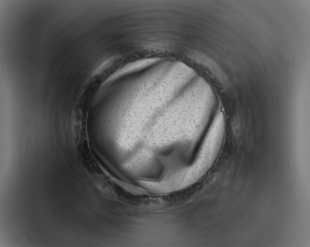 X0000087320968200705112134