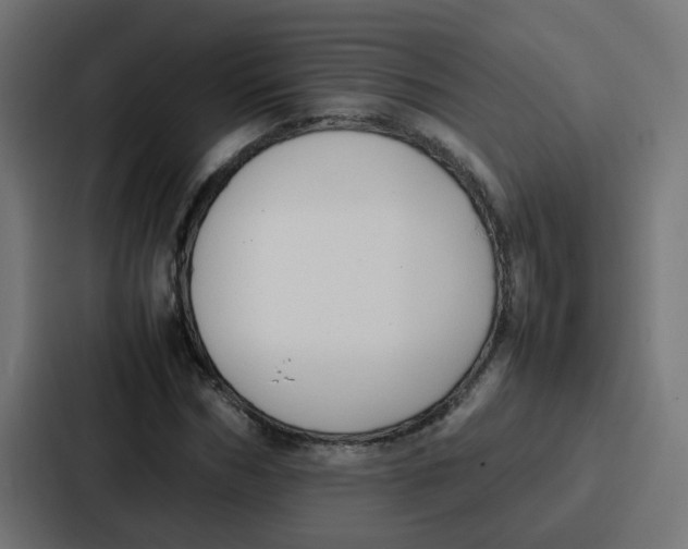 X0000087320970200705112134