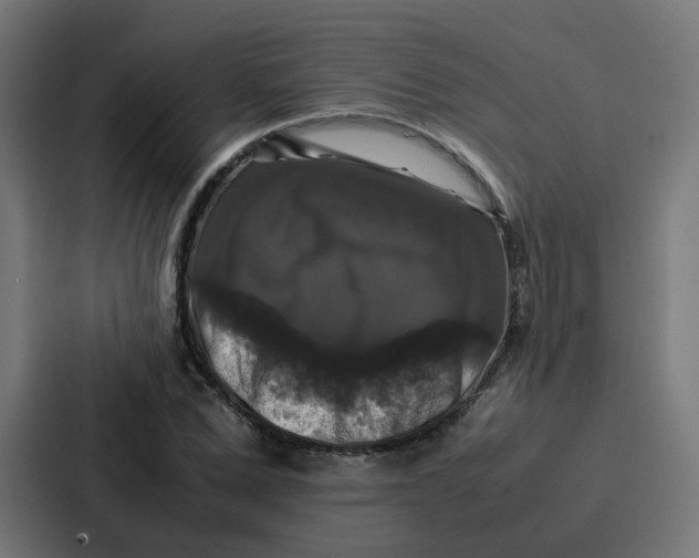 X0000087320975200705112133