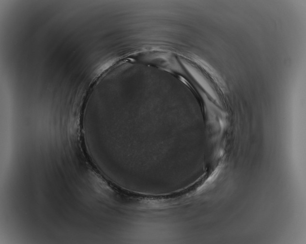 X0000087320977200705112133