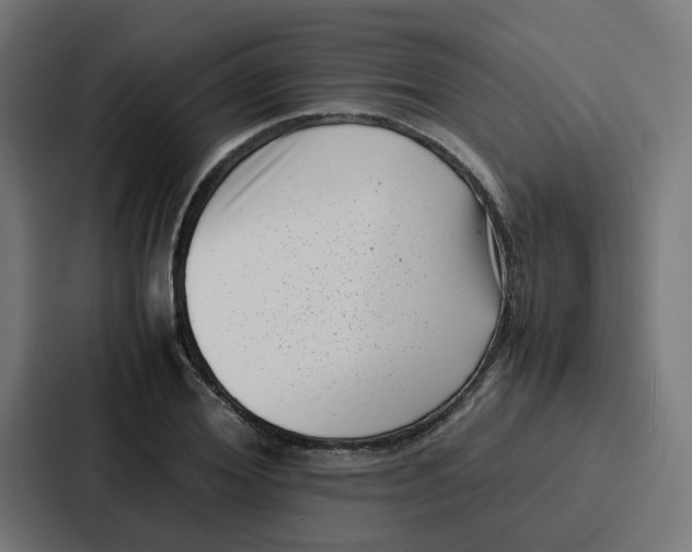 X0000087320980200705112133