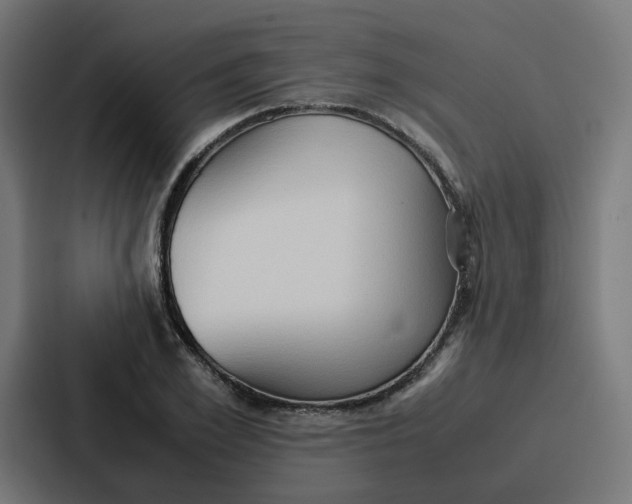 X0000087320981200705112133