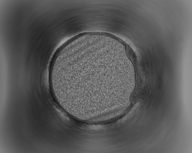 X0000087320982200705112133