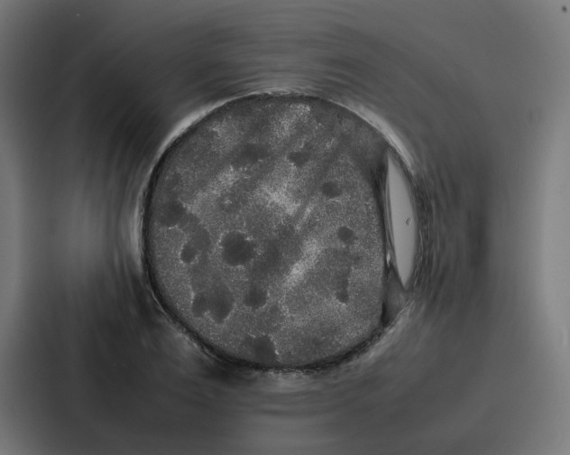 X0000087320983200705112133