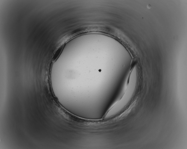 X0000087320985200705112133