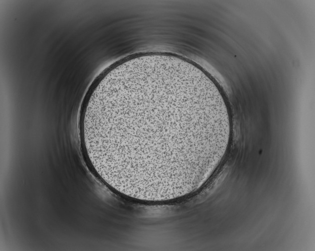 X0000087320988200705112133