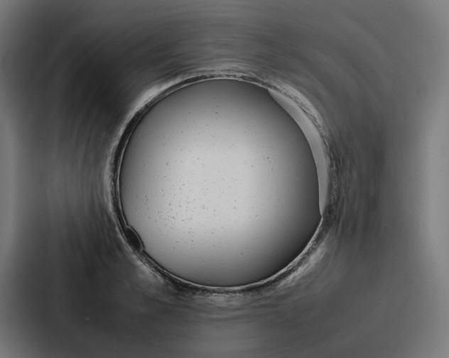 X0000087320989200705112133