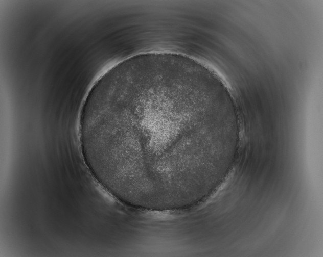 X0000087320990200705112133