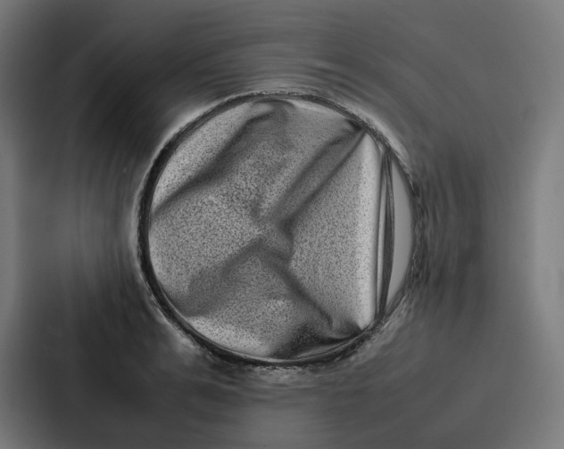 X0000087320991200705112133