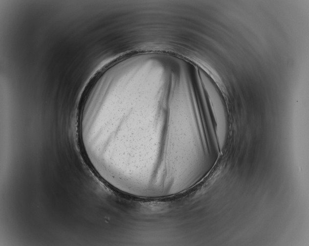 X0000087320992200705112133