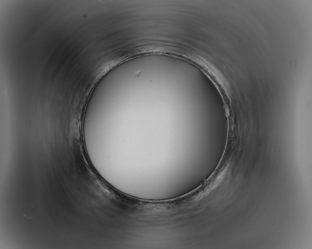 X0000087320993200705112133