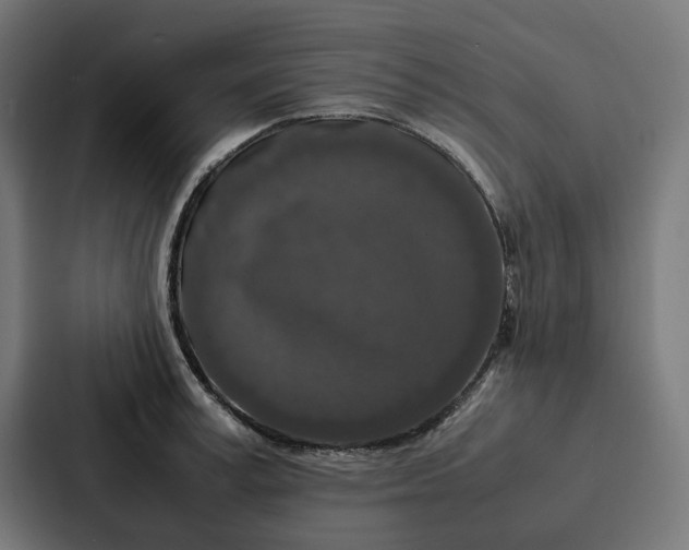 X0000087320995200705112133