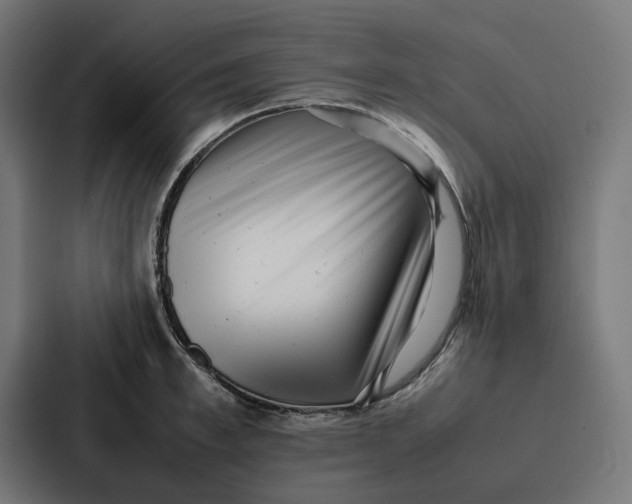 X0000087320997200705112133