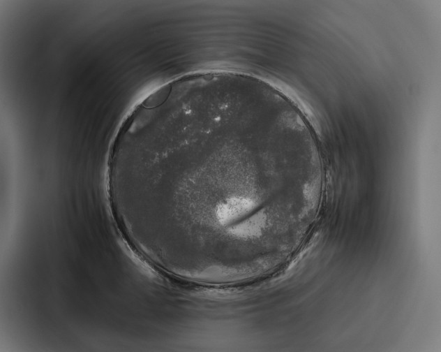 X0000087320998200705112133