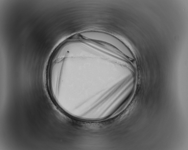 X0000087320999200705112133