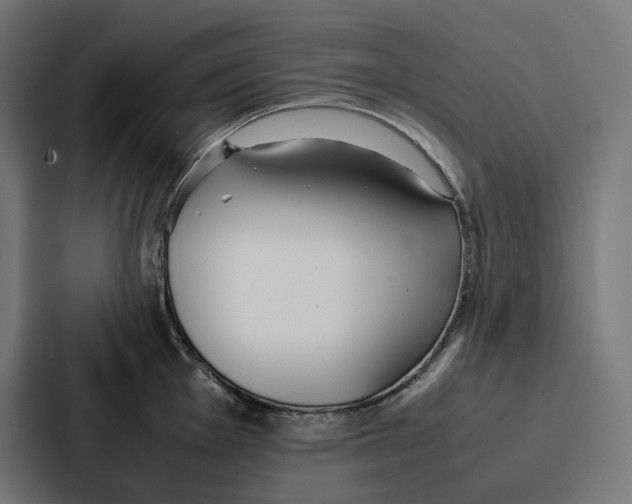 X0000087321001200705112133