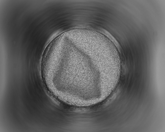 X0000087321002200705112133