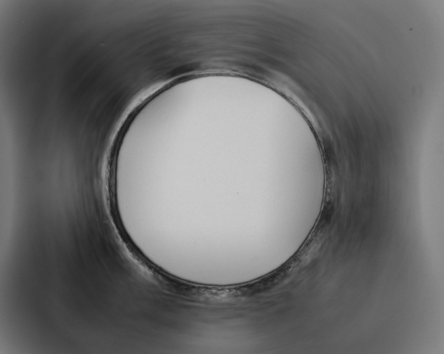 X0000087321003200705112133