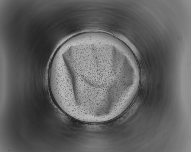 X0000087321004200705112133