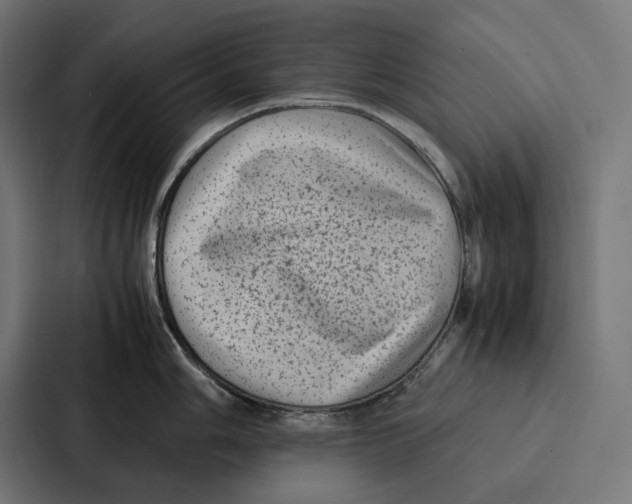 X0000087321006200705112133