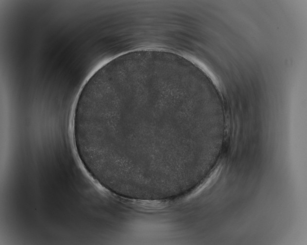 X0000087321007200705112133